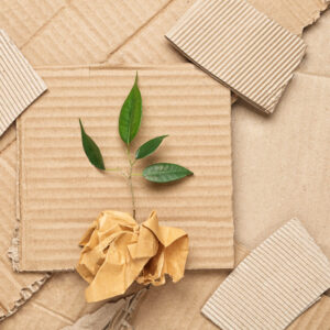 Packaging durable