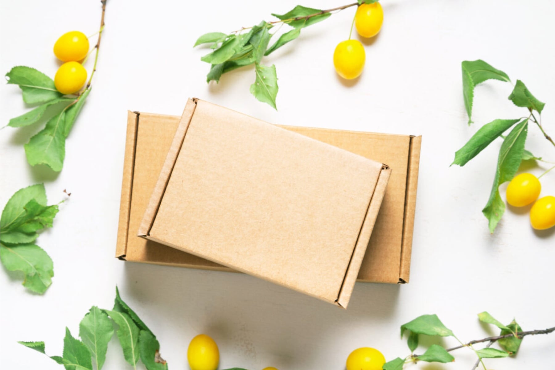 Packaging durable, consommation responsable