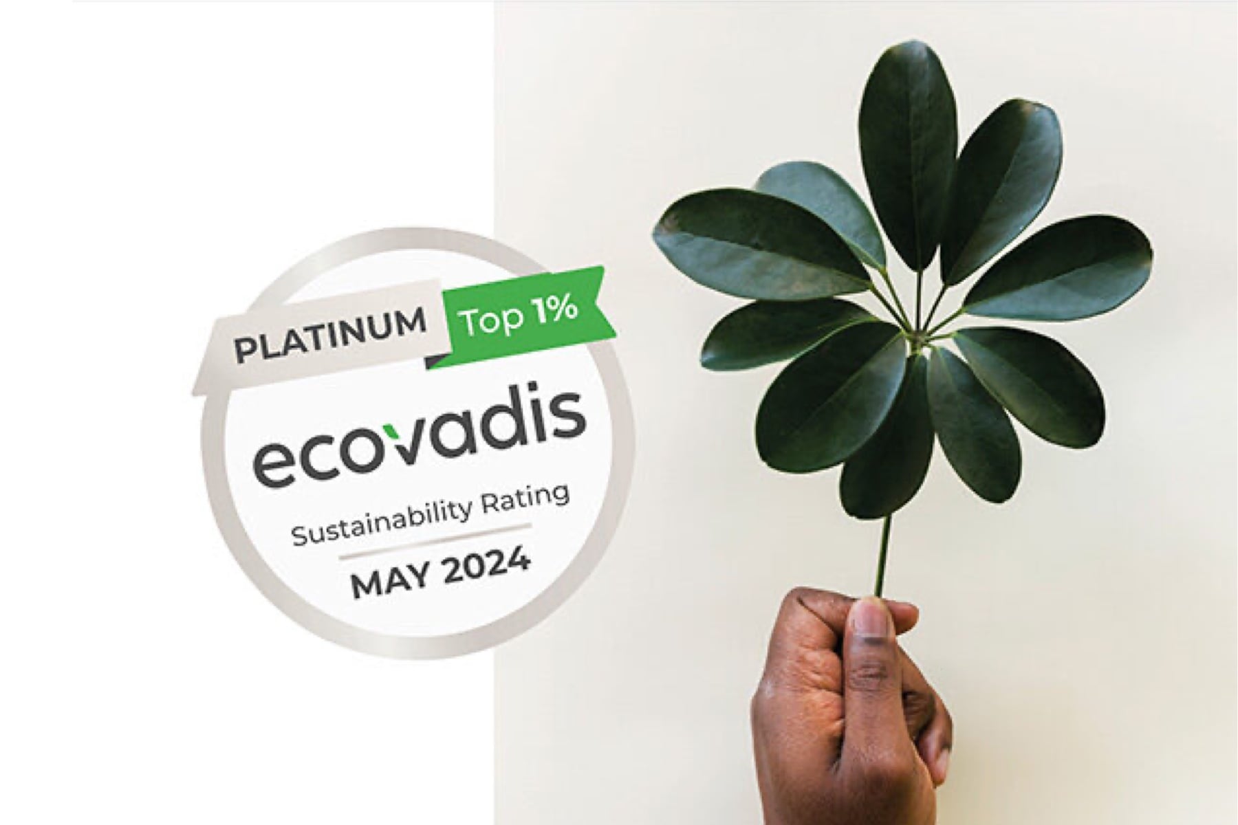 EcoVadis : Une nouvelle médaille en poche pour notre démarche RSE !